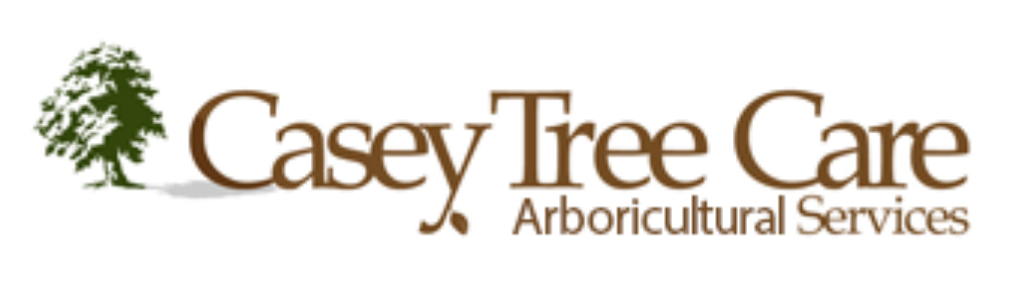 Brand Name : Brand Short Description Type Here.